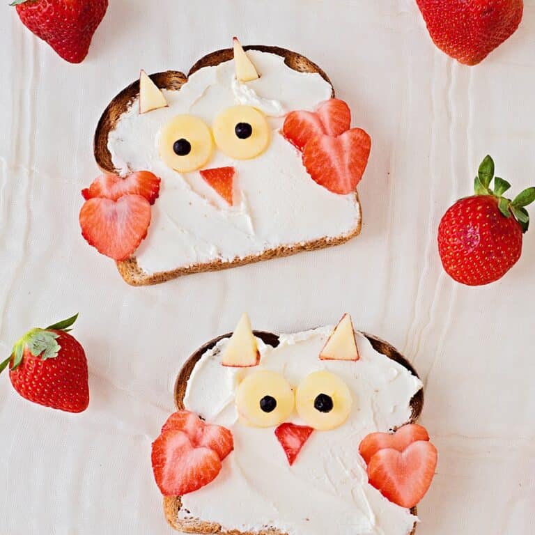 Cute Owl Animal Toast