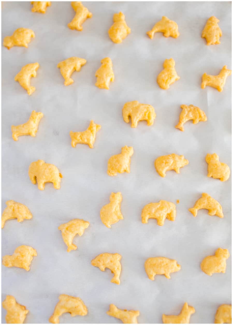 homemade cheese animal crackers