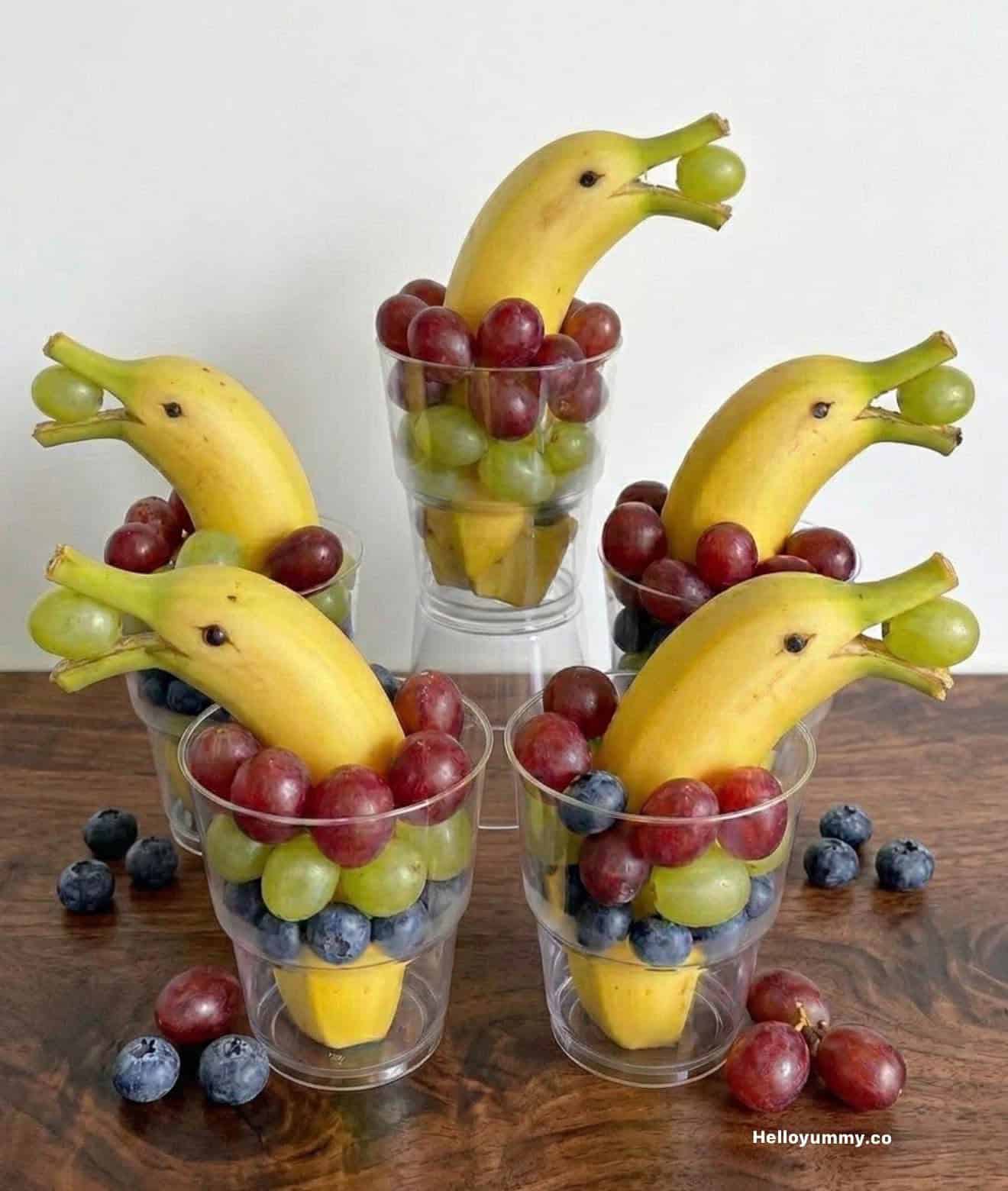 dolphin fruit cups