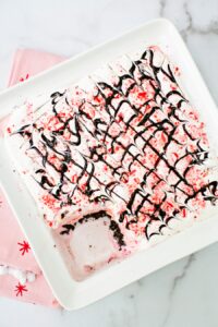 Peppermint Ice Cream Cake Recipe │ Quick, Simple & Delicious