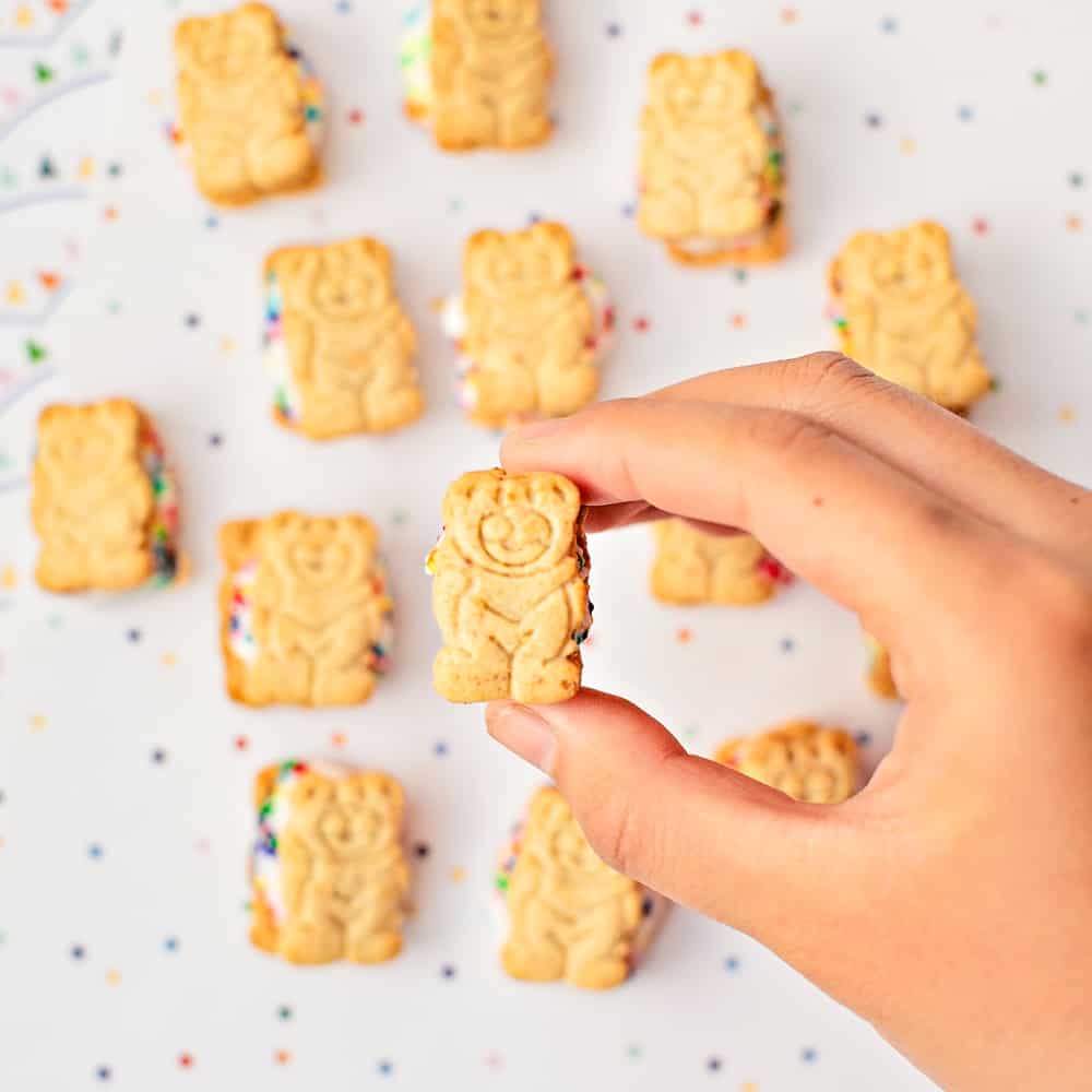 mini teddy bear graham ice cream sandwiches. Showing one upclose. 