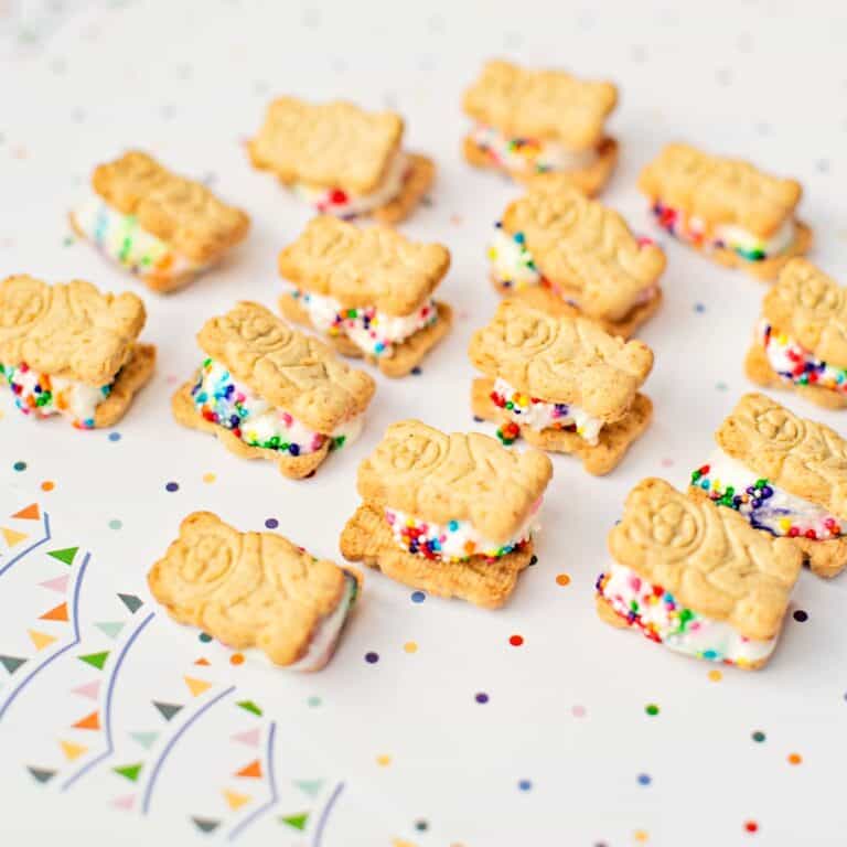 Teddy Bear Graham Ice Cream Sandwiches