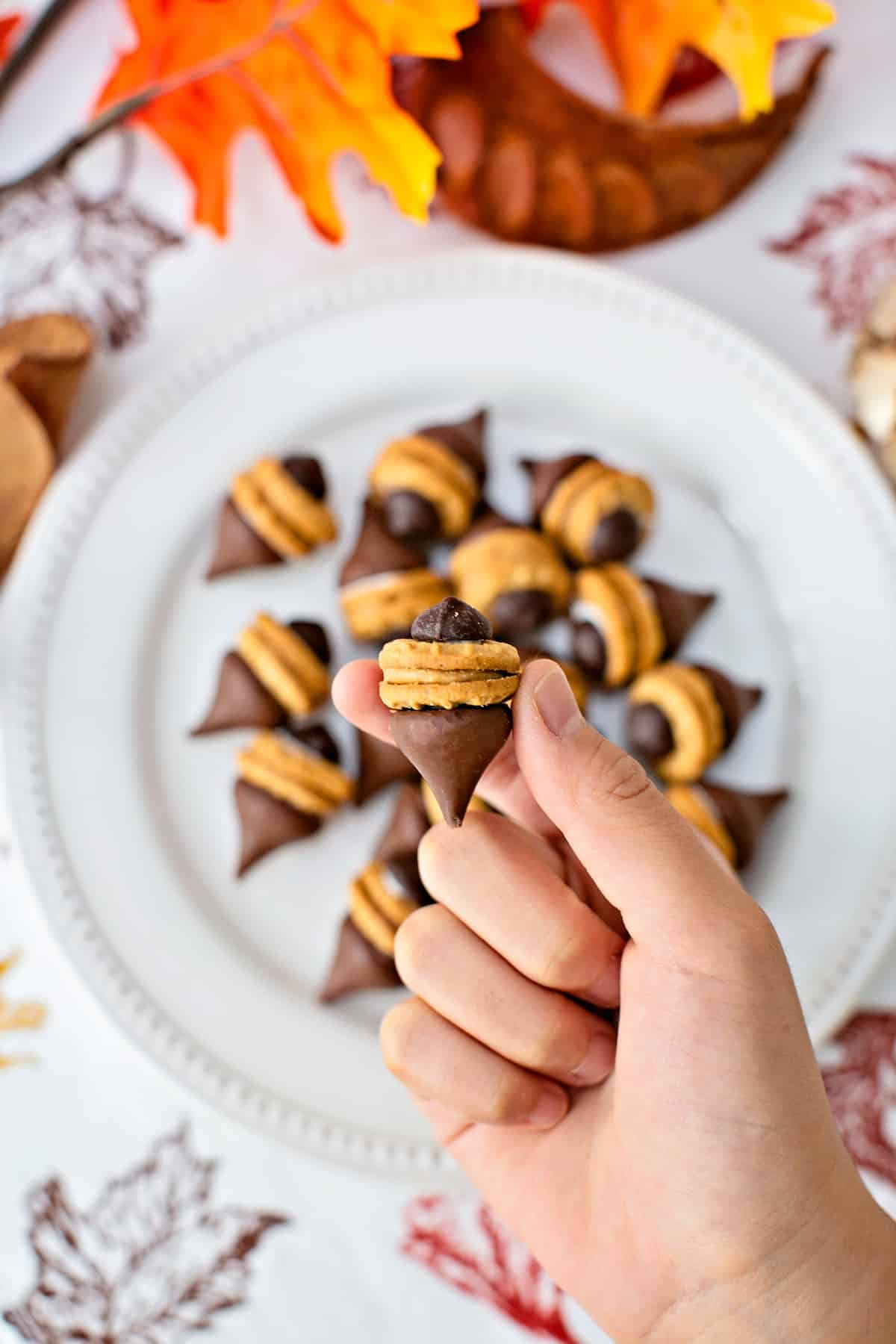 Easy Acorn Cookies - helloyummy