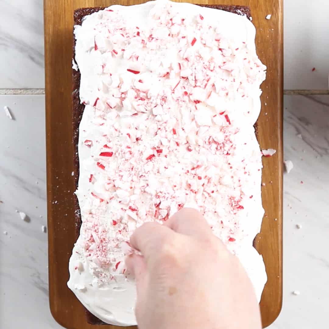 peppermint chocolate cake batter