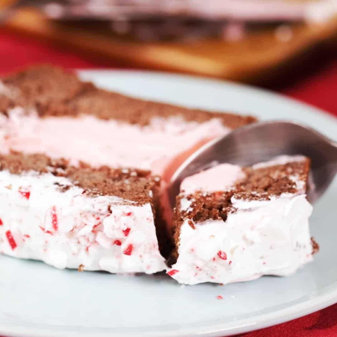 Peppermint Ice Cream Chocolate Cake