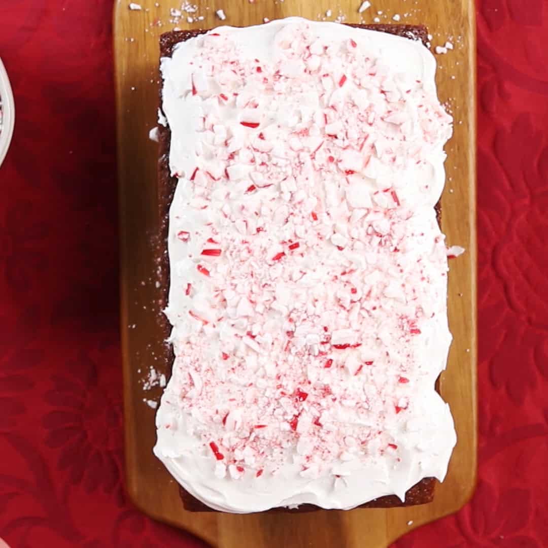 Peppermint Ice Cream Chocolate Cake