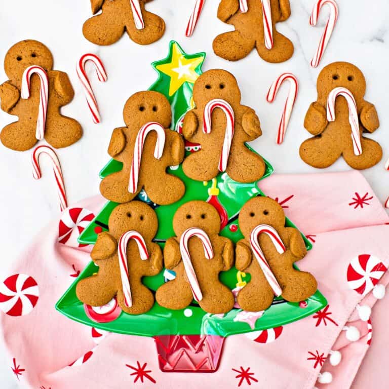 Gingerbread Holding Candy Canes
