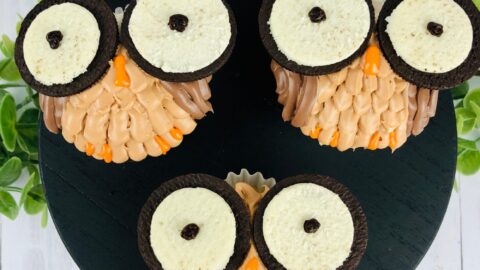 Hedwig Owl Layer Cake - Classy Girl Cupcakes