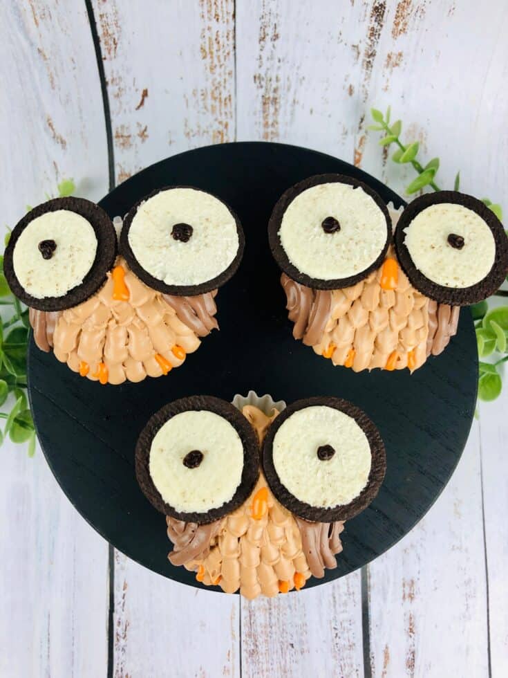 How To Make Easy Owl Cupcakes