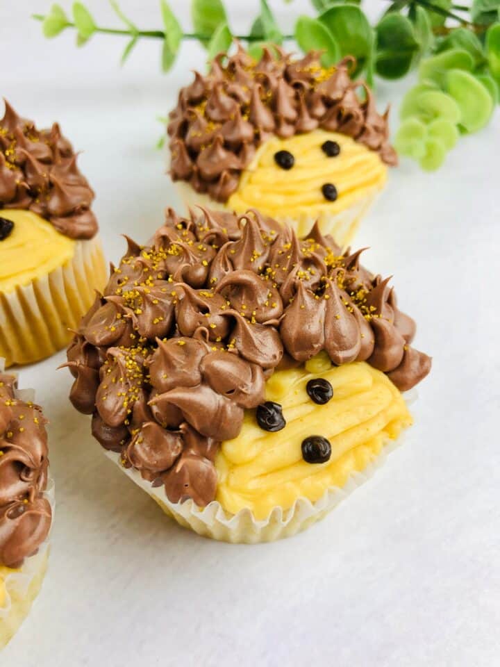 Easy Hedgehog Cupcakes