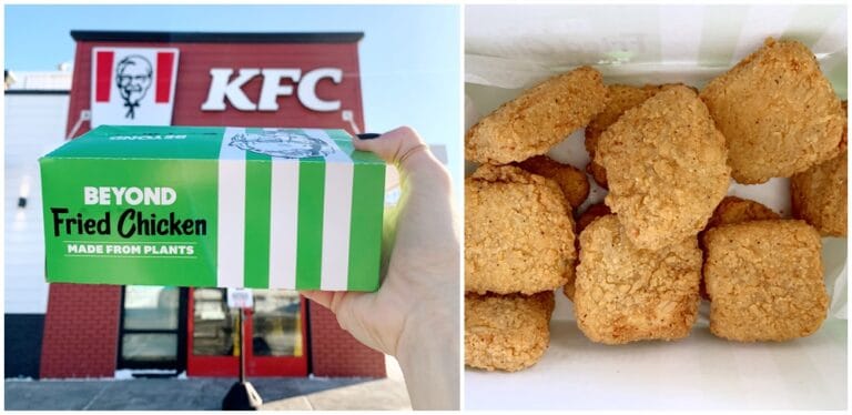 We Tried KFC's Beyond Chicken And Here's What It Tastes Like