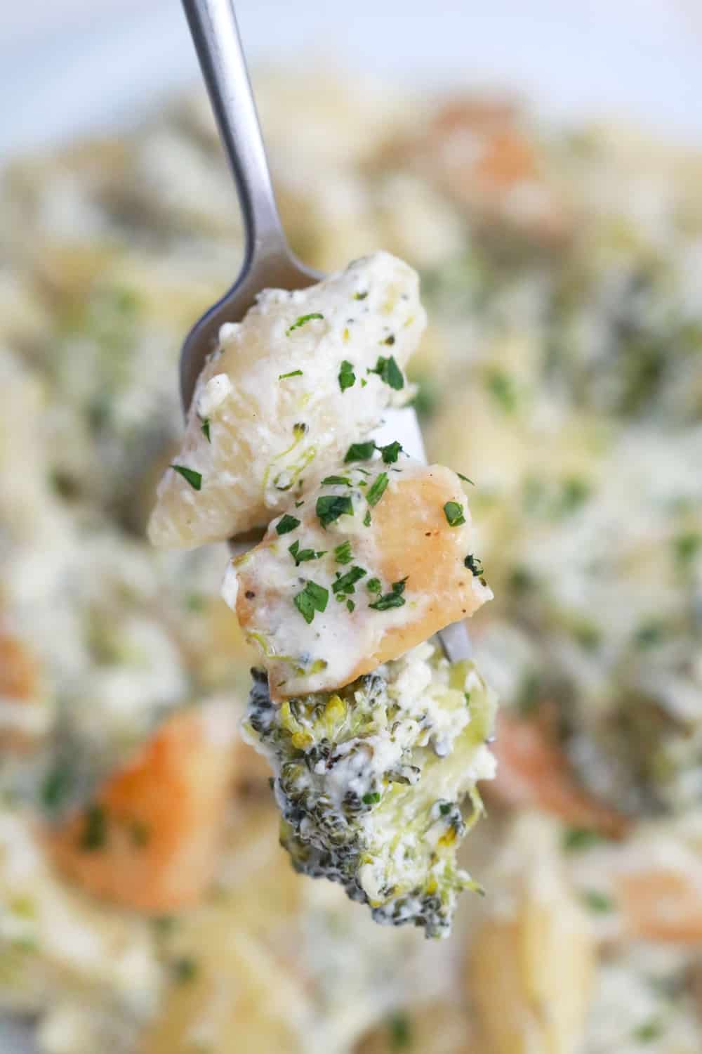 Chicken and Broccoli Pasta Bake Recipe