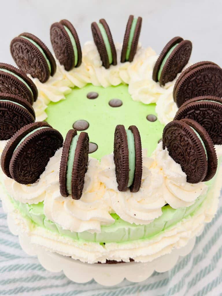 The Easiest Mint Chocolate Ice Cream Cake Recipe