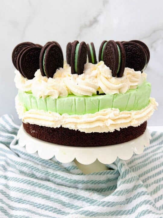 The Easiest Mint Chocolate Ice Cream Cake Recipe