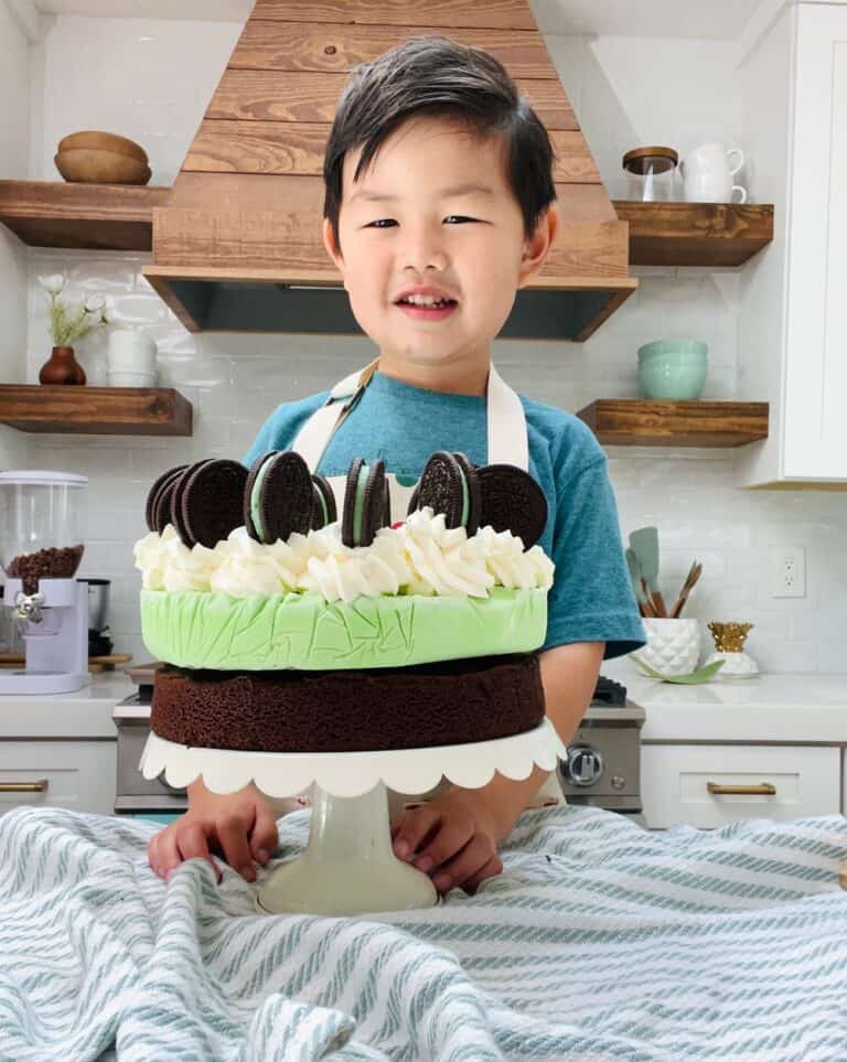 The Easiest Mint Chocolate Ice Cream Cake Recipe