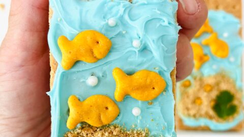 Cream Cheese Graham Cracker Snack - Fish themed birthday party - Growing  Hands-On Kids