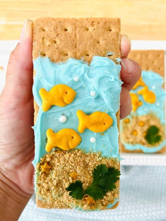 Goldfish Graham Cracker Snack