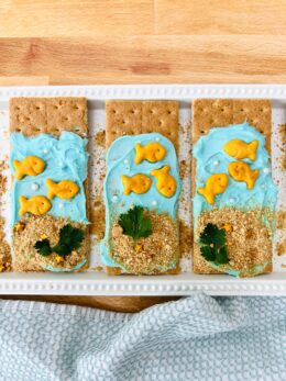 Goldfish Graham Cracker Snack