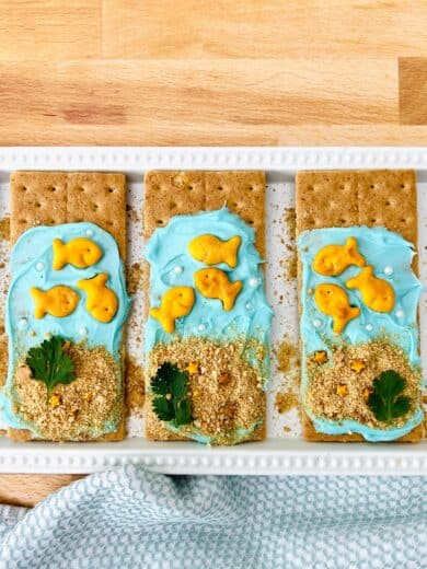 Goldfish Graham Cracker Snack