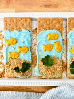 Goldfish Graham Cracker Snack