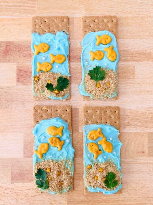 Goldfish Graham Cracker Snack