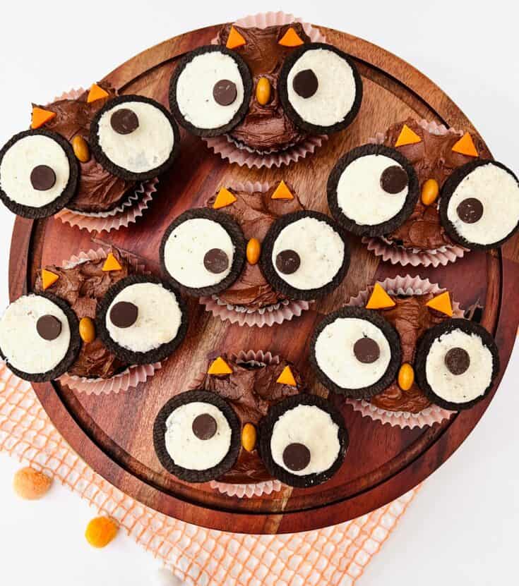 How To Make Easy Owl Cupcakes