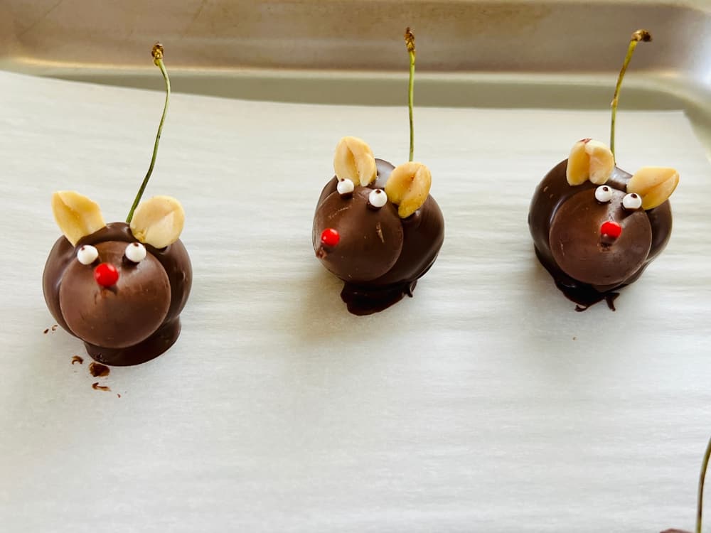 Chocolate Cherry Mice