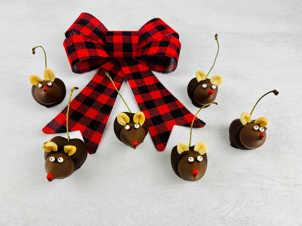 Chocolate Cherry Mice