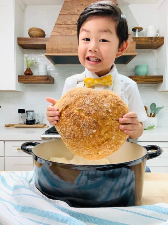 Quick 2 Hour NoKnead Bread Recipe