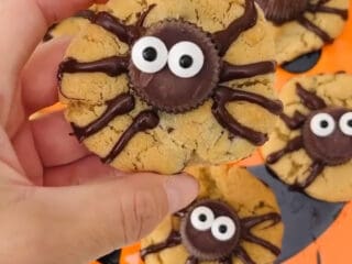 spider cookies