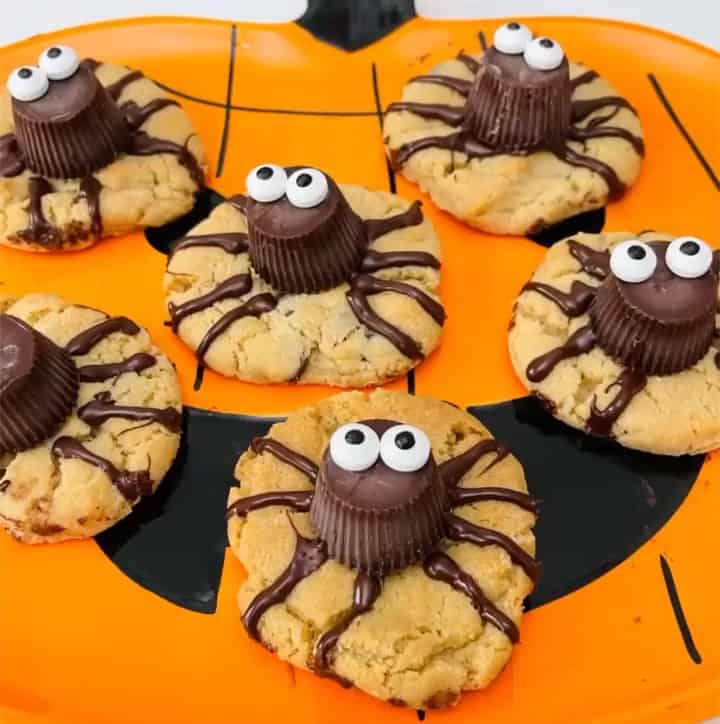 spider cookies