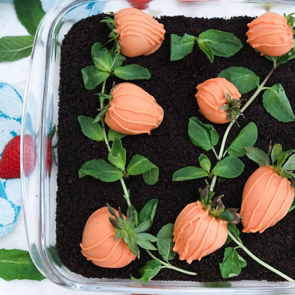Carrot Patch Strawberries