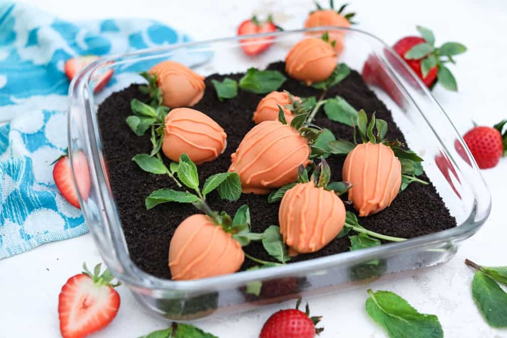 strawberry Carrot Patch 
