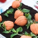 carrot patch strawberries