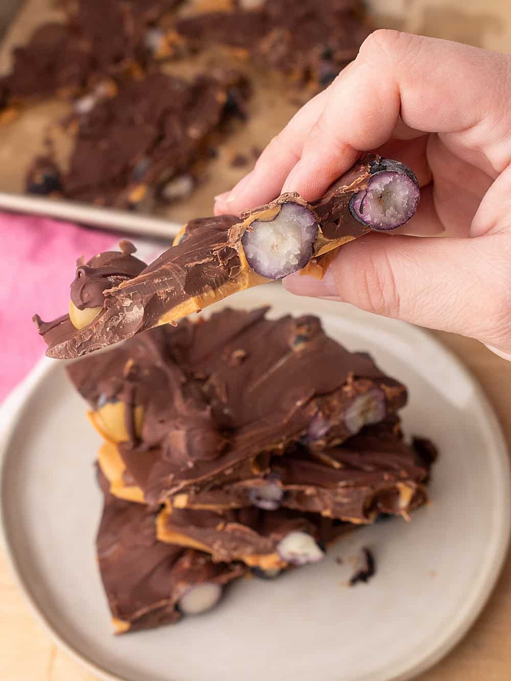 Blueberry Peanut Butter Chocolate Bark