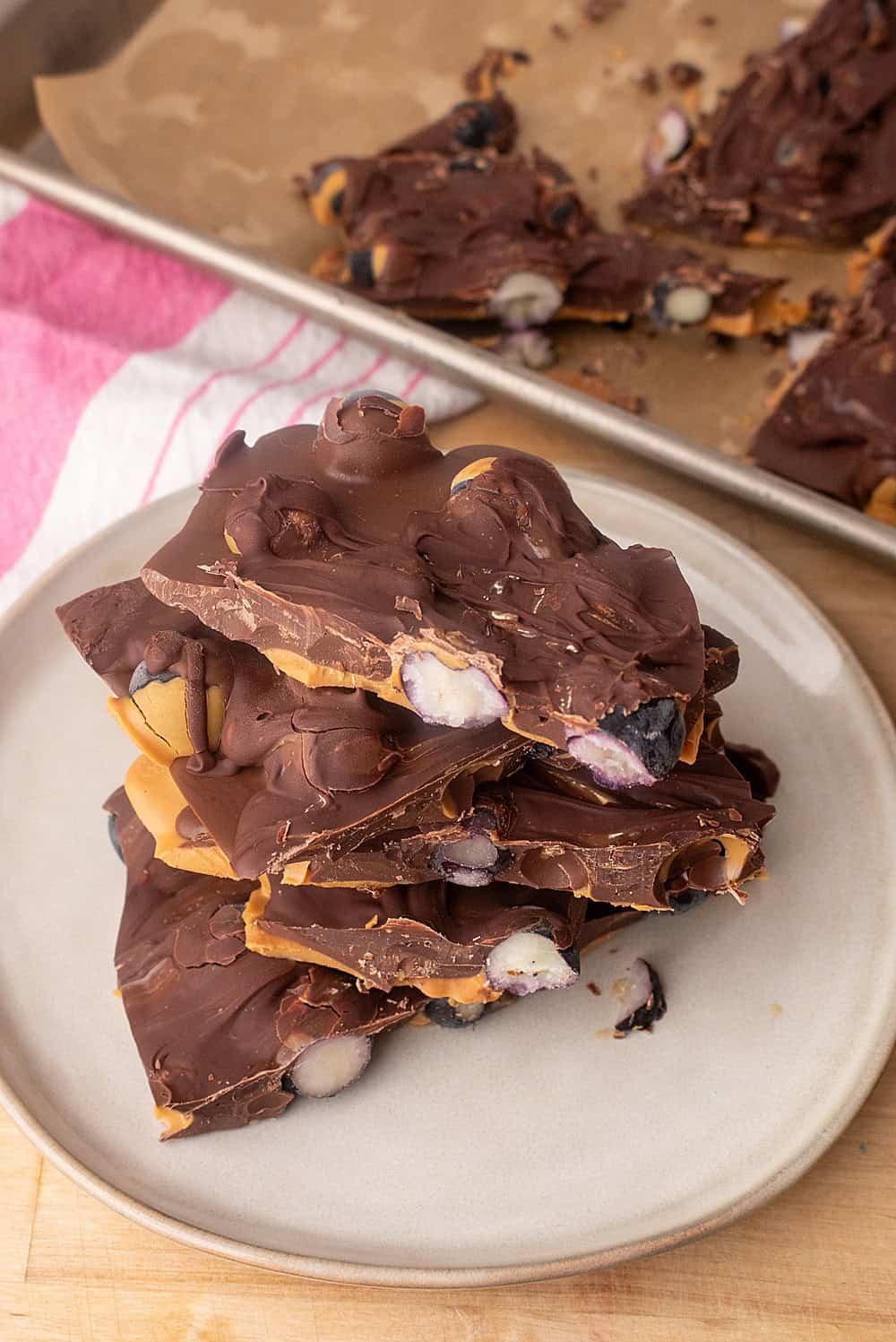 Blueberry Peanut Butter Chocolate Bark