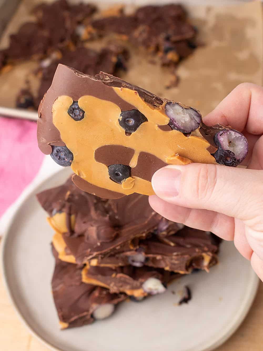 Blueberry Peanut Butter Chocolate Bark