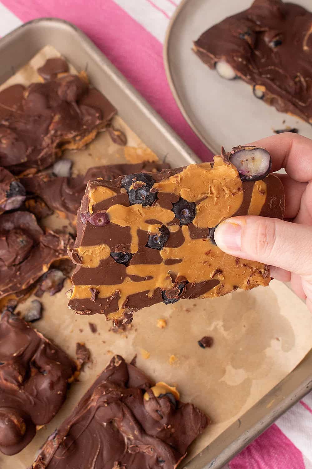 Blueberry Peanut Butter Chocolate Bark